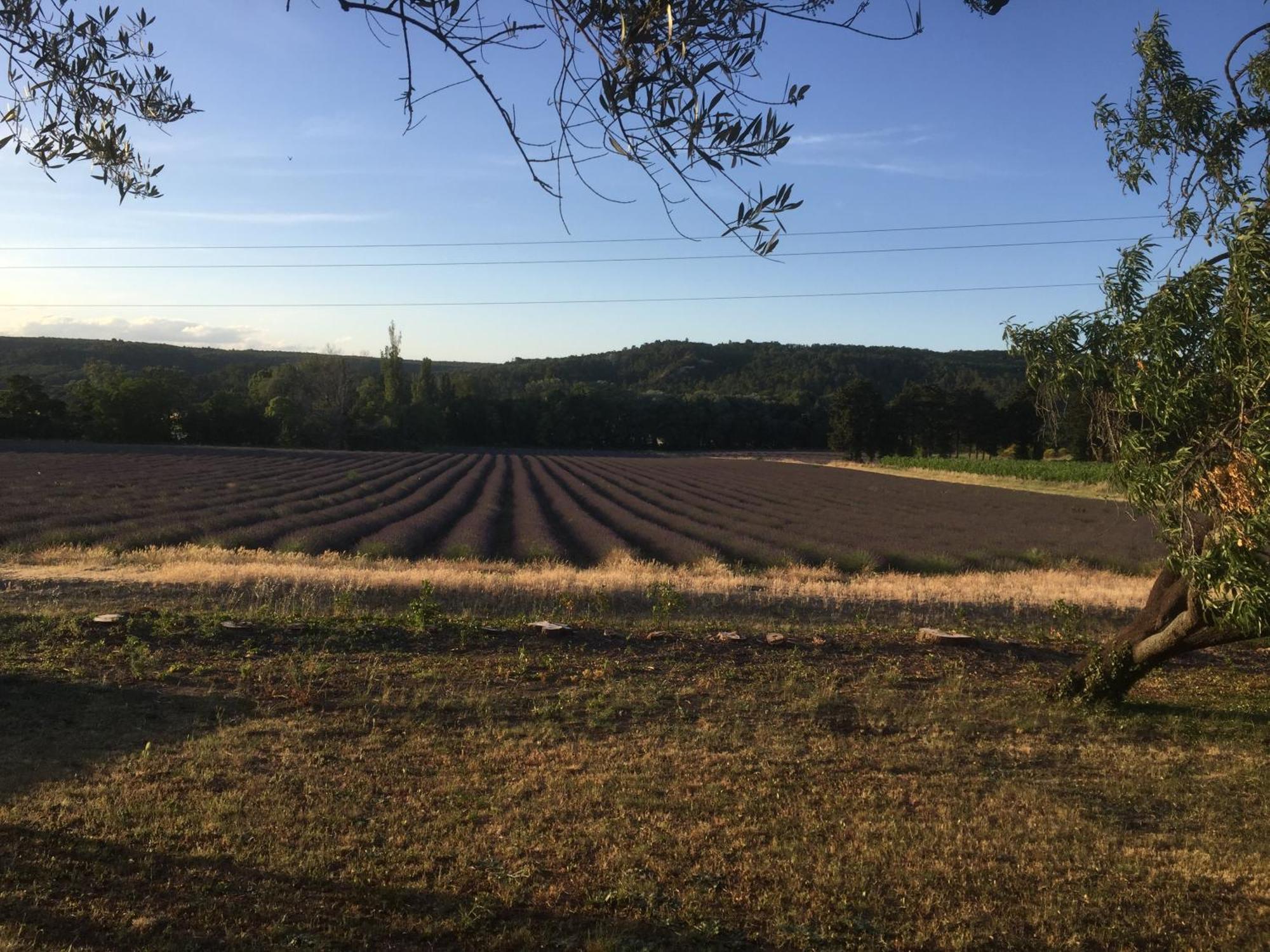 Gite Le Gre Chantemerle-lès-Grignan Exteriör bild