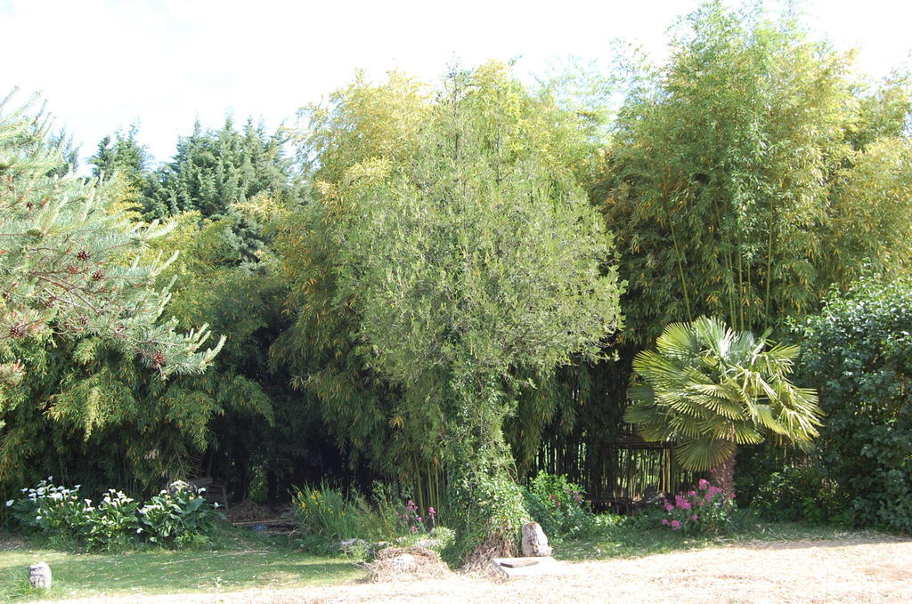 Gite Le Gre Chantemerle-lès-Grignan Exteriör bild