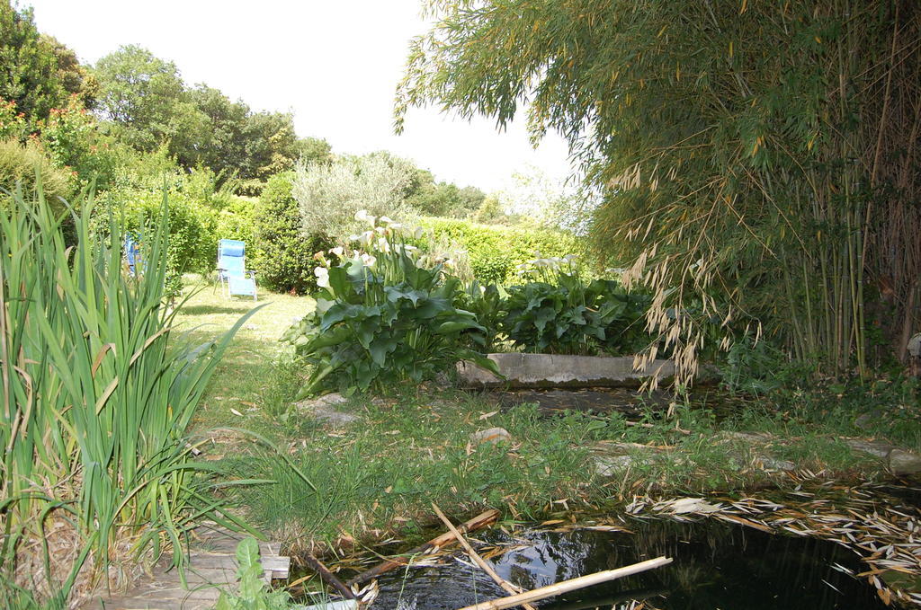 Gite Le Gre Chantemerle-lès-Grignan Exteriör bild