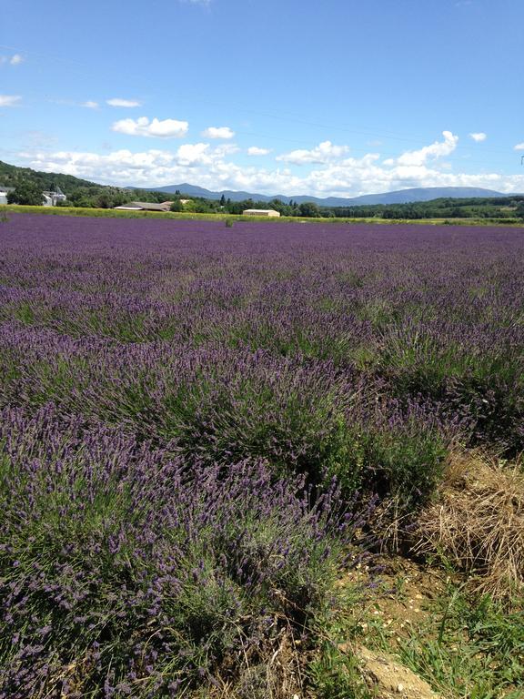 Gite Le Gre Chantemerle-lès-Grignan Exteriör bild